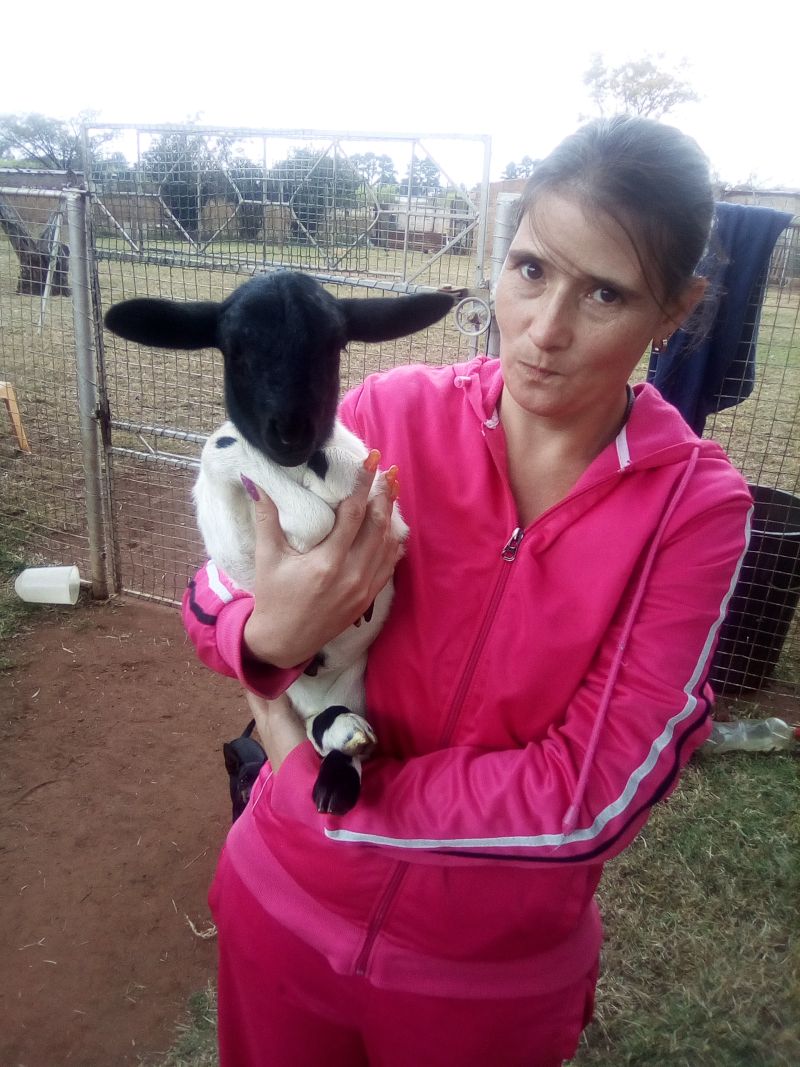 boeregirl560